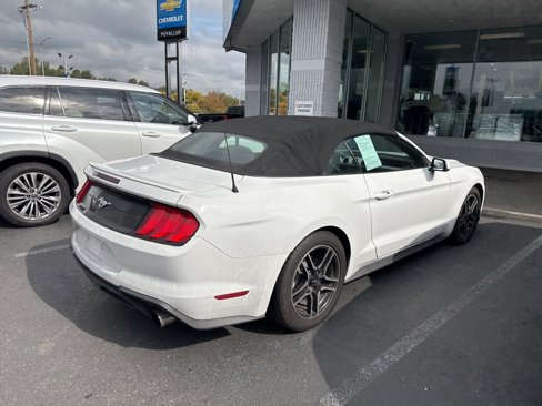 Used 2019 Ford Mustang Premium image 18