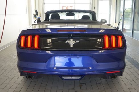 Used 2015 Ford Mustang Convertible w/ Equipment Group 051A image 12