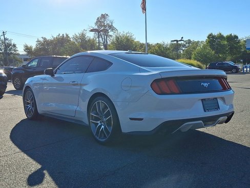 Used 2017 Ford Mustang Premium w/ Equipment Group 201A image 4