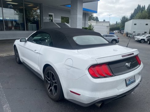 Used 2019 Ford Mustang Premium image 6