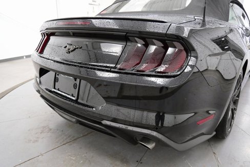 Used 2020 Ford Mustang Premium image 9