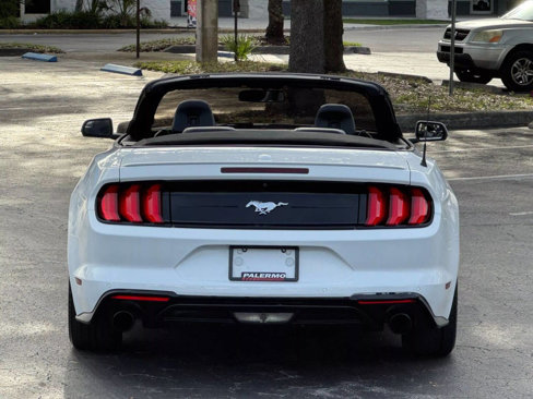 Used 2018 Ford Mustang Premium image 6