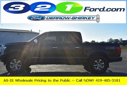 Used 2018 Ford F150 Platinum w/ Equipment Group 701A Luxury image 3