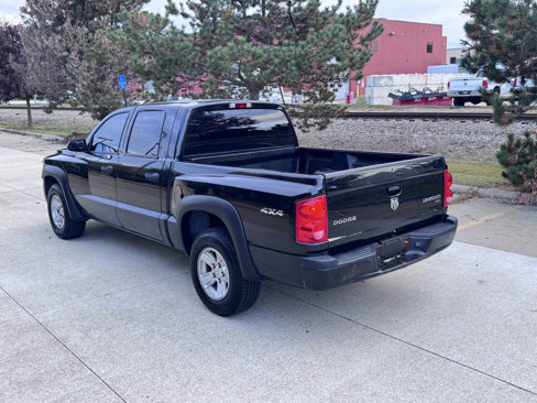 Used 2011 Dodge Dakota 4x4 Crew Cab image 5