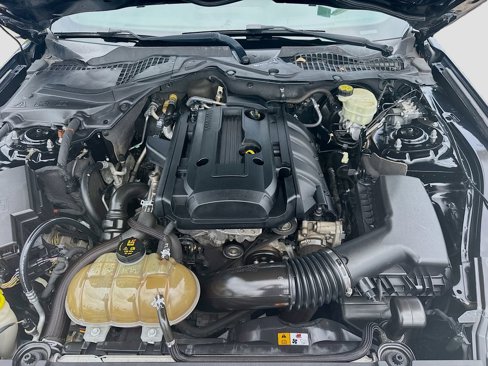 Used 2015 Ford Mustang Coupe image 29