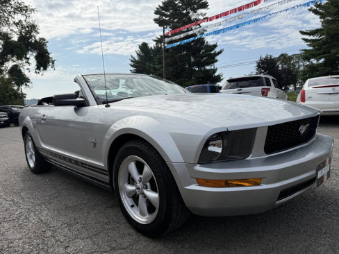 Used 2009 Ford Mustang Premium image 6