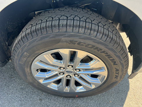 New 2025 Ford F150 XLT image 11