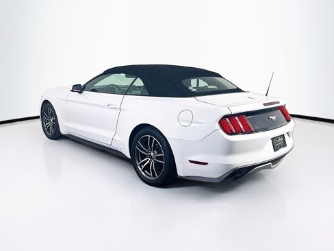 Used 2017 Ford Mustang Premium image 5