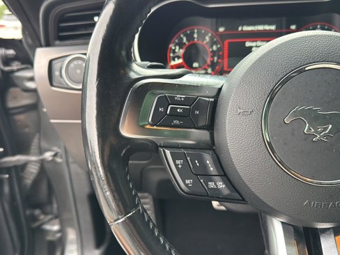 Used 2019 Ford Mustang Premium w/ Equipment Group 201A image 14