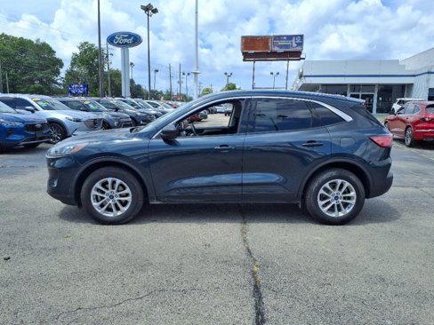 Used 2022 Ford Escape SE w/ Cold Weather Package image 6