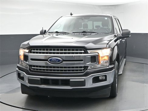 Used 2019 Ford F150 XLT w/ Equipment Group 302A Luxury image 3