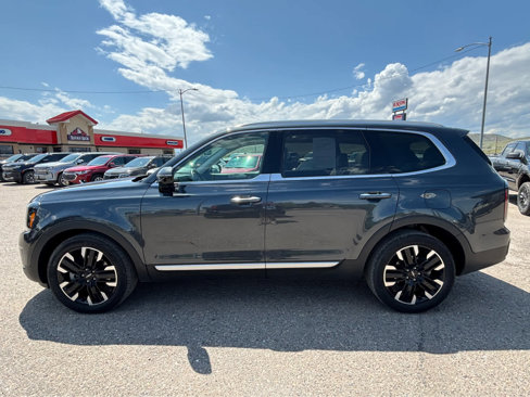 Used 2023 Kia Telluride SX Prestige image 7