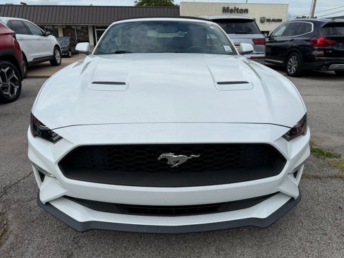 Used 2018 Ford Mustang Premium image 5