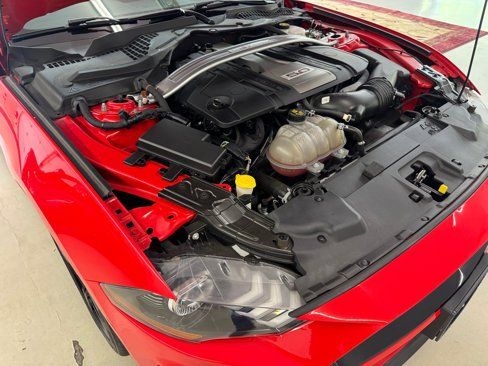 Used 2019 Ford Mustang GT Premium w/ Equipment Group 401A image 20