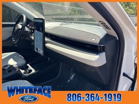 Used 2021 Ford Mustang Mach-E Premium image 30
