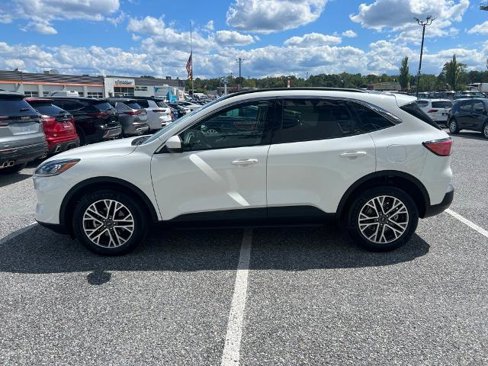 Certified 2020 Ford Escape SEL image 5