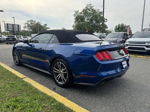 Used 2017 Ford Mustang Premium image 5