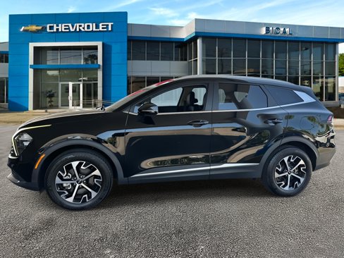 Used 2023 Kia Sportage EX image 5