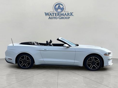 Used 2022 Ford Mustang Premium image 6