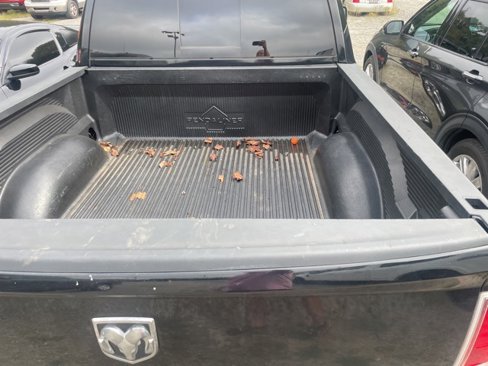 Used 2019 RAM 1500 Laramie w/ Convenience Group image 4