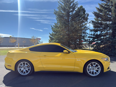 Used 2015 Ford Mustang GT Premium w/ 50 Years Appearance Package image 6