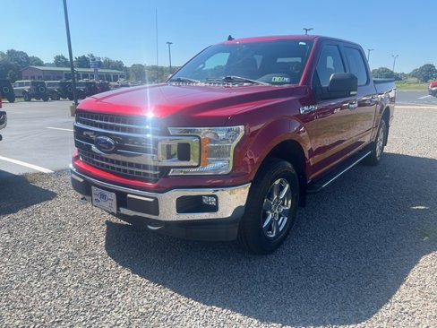 Used 2019 Ford F150 XLT w/ Equipment Group 302A Luxury image 2