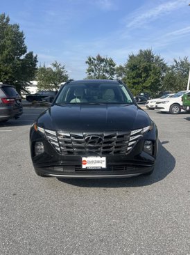 Used 2024 Hyundai Tucson Limited image 3
