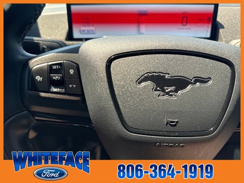 Used 2021 Ford Mustang Mach-E Premium image 45