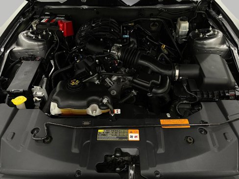 Used 2014 Ford Mustang Premium w/ Equipment Group 203A image 11
