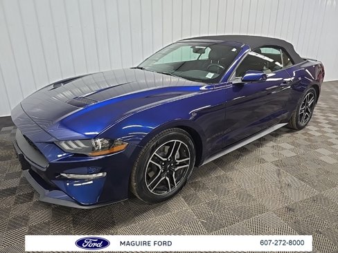 Used 2018 Ford Mustang Premium w/ Equipment Group 201A image 18