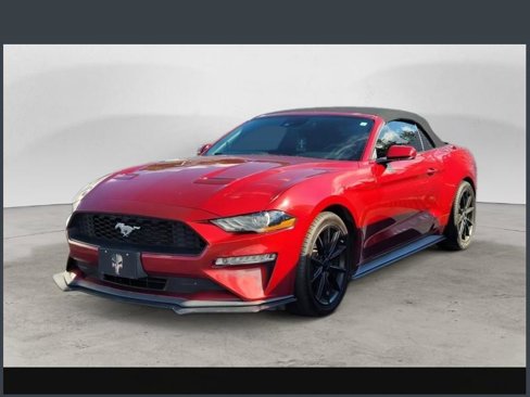 Used 2019 Ford Mustang Premium w/ Equipment Group 201A image 4