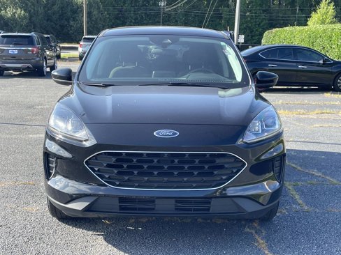 Used 2022 Ford Escape SE w/ SE Sport Appearance Package image 6
