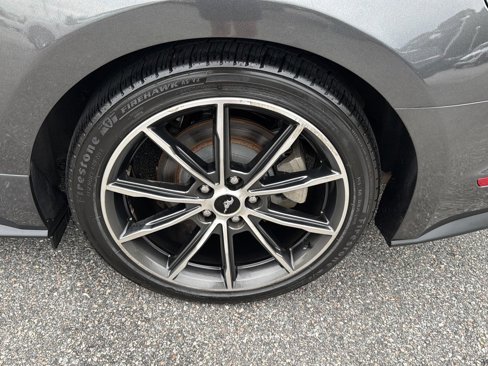 Used 2019 Ford Mustang Premium w/ Equipment Group 201A image 30