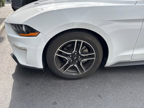 Used 2019 Ford Mustang Premium image 13
