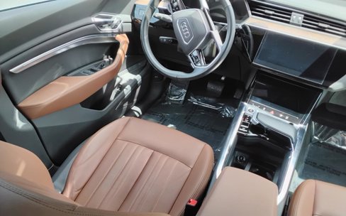 Used 2022 Audi e-tron Premium Plus w/ Premium Plus Package image 22