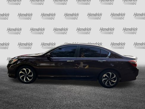Used 2016 Honda Accord EX image 6