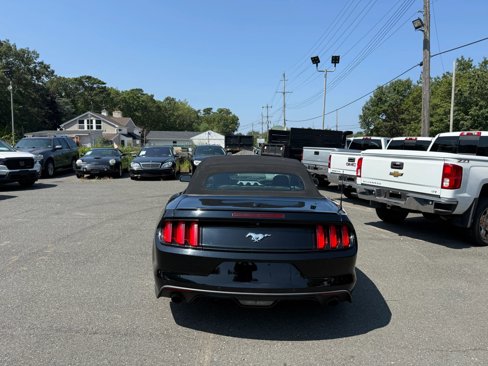 Used 2016 Ford Mustang Premium w/ Equipment Group 201A image 11