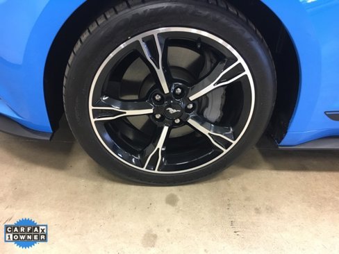 Used 2017 Ford Mustang GT Premium w/ Equipment Group 401A image 15