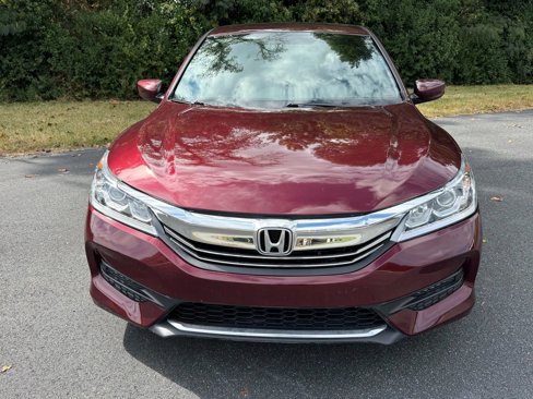 Used 2017 Honda Accord Sport image 3