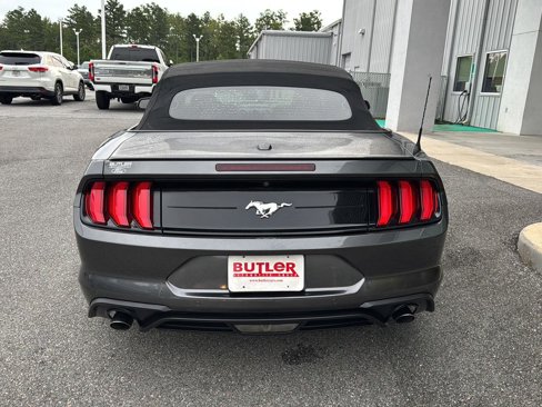 Used 2019 Ford Mustang Premium w/ Equipment Group 201A image 4