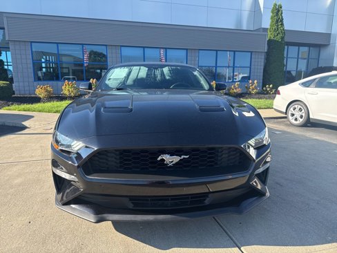 Used 2019 Ford Mustang Coupe w/ Equipment Group 101A image 7