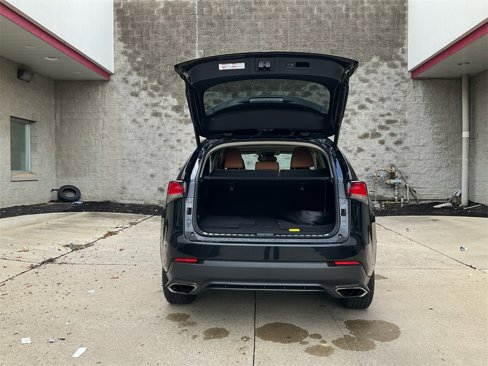 Used 2019 Lexus NX 300 AWD image 11