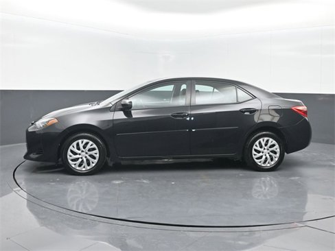 Used 2019 Toyota Corolla LE image 4