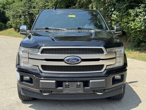 Used 2019 Ford F150 Platinum w/ Equipment Group 701A Luxury image 3