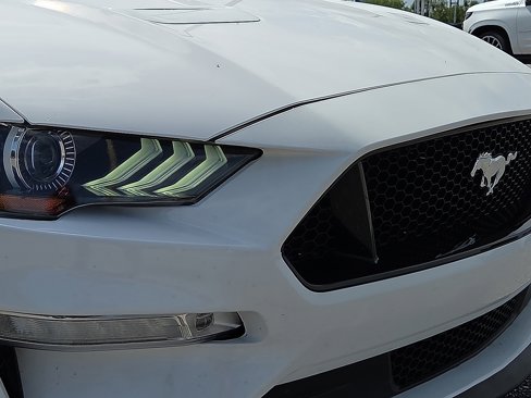 Used 2019 Ford Mustang Premium image 8