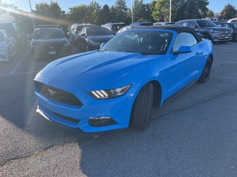 Used 2017 Ford Mustang Premium image 15