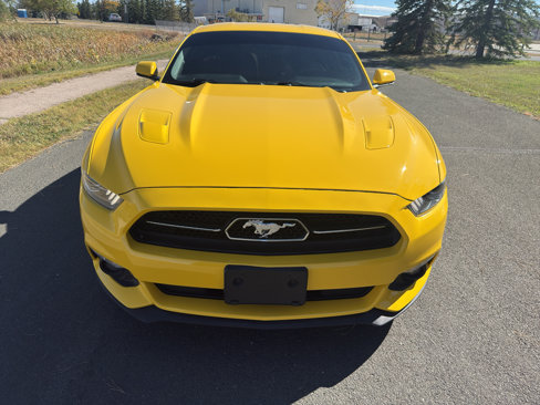 Used 2015 Ford Mustang GT Premium w/ 50 Years Appearance Package image 3