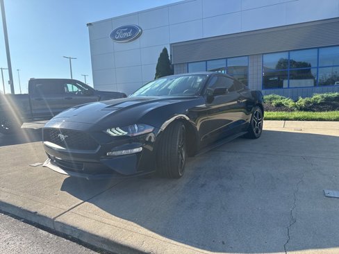Used 2019 Ford Mustang Coupe w/ Equipment Group 101A image 1
