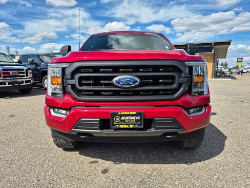 Used 2021 Ford F150 XLT w/ Equipment Group 302A High image 10