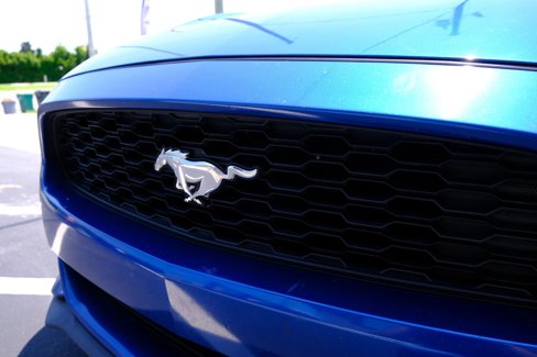 Used 2017 Ford Mustang Coupe image 11